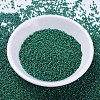 MIYUKI Delica Beads X-SEED-J020-DB0656-2