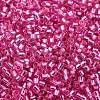 Glass Seed Beads SEED-S042-04B-19-3