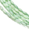 Natural Freshwater Shell Beads Strands X-SHEL-C010-01A-2
