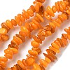 Natural Freshwater Shell Beads Strands BSHE-I016-01I-1