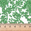 Glass Seed Beads SEED-A010-3mm-47-4
