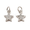 Rack Plating Brass Micro Pave Cubic Zirconia Charms KK-E081-18P-1