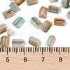 Transparent Spray Painted Glass Seed Beads SEED-L011-10A-04-4