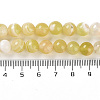 Natural Striped Agate/Banded Agate Beads Strands G-Z060-A01-B20-5
