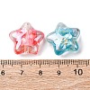 Transparent Resin & Natural Shell Beads RESI-B039-03A-3