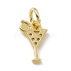 Brass Micro Pave Cubic Zirconia Charms LS-ZIRC-F132-15G-2