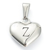 304 Stainless Steel Pendants STAS-P278-01Z-P-1