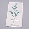 Paper Cards DIY-WH0183-41D-1