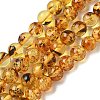 Natural Amber Beads Strands G-K387-D02-01-2