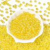 Transparent Glass Seed Beads SEED-N007-33B-05-2