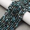 Natural Apatite Beads Strands LS-G-A276-C08-4mm-01-1