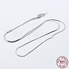 Rhodium Plated 925 Sterling Silver Chain Necklaces STER-F039-14P-1