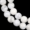 Natural Selenite Beads Strands X-G-G167-A02-01-4