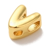 Rack Plating Brass Pendants X-KK-L220-001G-V-2