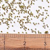 MIYUKI Delica Beads SEED-X0054-DB0604-4