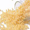 TOHO 11/0 Round Beads SEED-TR11-0903-1
