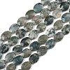 Natural Moss Agate Beads Strands G-H349-A01-22-2