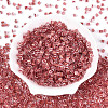Transparent Inside Colours Glass Seed Beads SEED-T007-13G-1