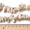 Dyed Natural Trochus Shell Beads Strands X-SSHEL-C013-09K-4