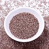 MIYUKI Delica Beads SEED-J020-DB1879-2