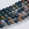 Natural Indian Agate Beads Strands G-G515-10mm-05-1