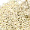 TOHO 11/0 Round Beads SEED-TR11-0123L-1
