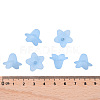 Transparent Acrylic Beads X-PLF018-06-4