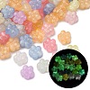 Luminous Transparent Acrylic Beads LACR-S001-15A-1