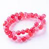 Natural Agate Beads Strands G-F315-10mm-02-2