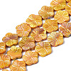 Natural Freshwater Shell Beads Strands SHEL-Q025-002E-1