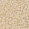 MIYUKI Delica Beads SEED-X0054-DB0204-3