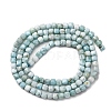 Natural Larimar Beads Strands G-F803-C01-02-3