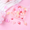30Pcs 6 Styles Baking Paint Transparent Glass Petal Beads DGLA-YW0001-33-4
