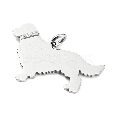 Non-Tarnish 304 Stainless Steel Pendants STAS-E205-10P-1
