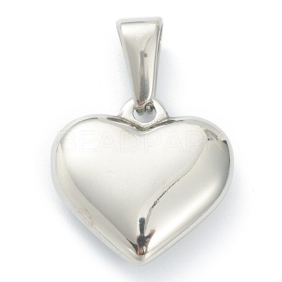 304 Stainless Steel Pendants STAS-P278-01E-P-1