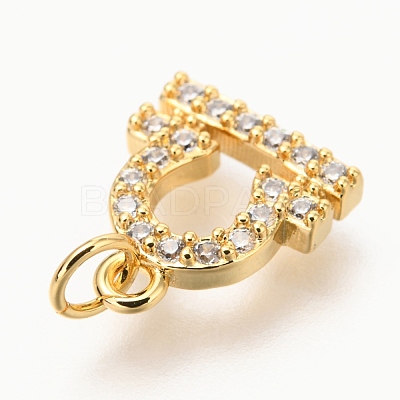 Brass Micro Pave Clear Cubic Zirconia Charms ZIRC-O036-30G-I-1