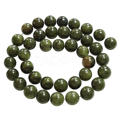 Olive Z0NCT015-1
