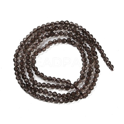 Natural Smoky Quartz Beads Strands G-P553-G05-01-1