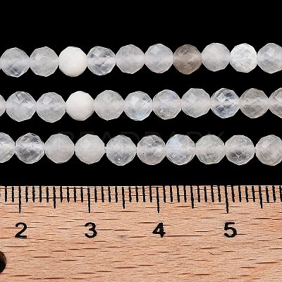 Natural Rainbow Moonstone Beads Strands G-P500-01C-01A-1