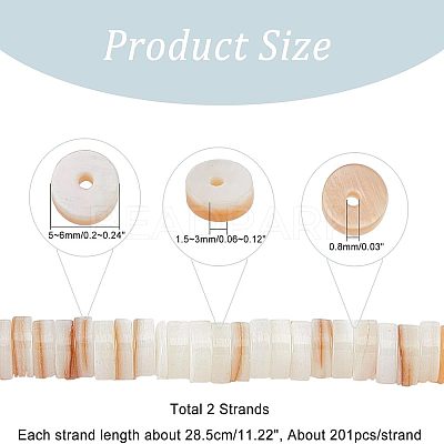 2 Strands Natural Freshwater Shell Beads Strands BSHE-NB0001-17-1