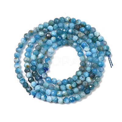 Natural Apatite Beads Strands G-D347-A01-1