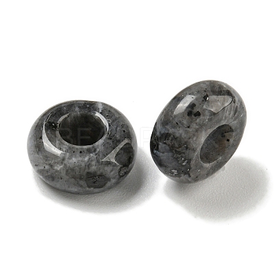 Natural Larvikite Beads G-Q173-03A-15-1