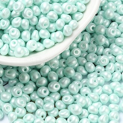 6/0 Glass Seed Beads SEED-L011-08A-14-1