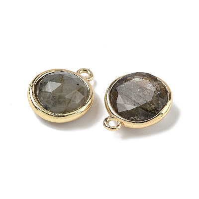 Natural Labradorite Faceted Flat Round Charms G-U028-03G-06-1