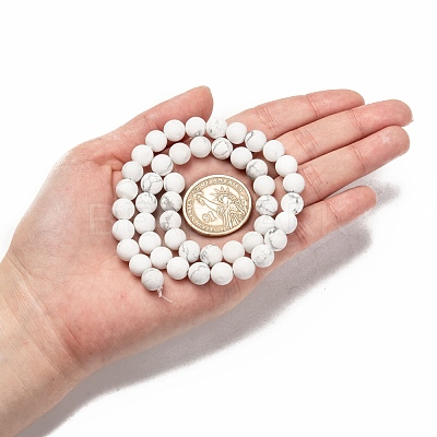 Natural Howlite Beads Strands G-D696-8mm-1