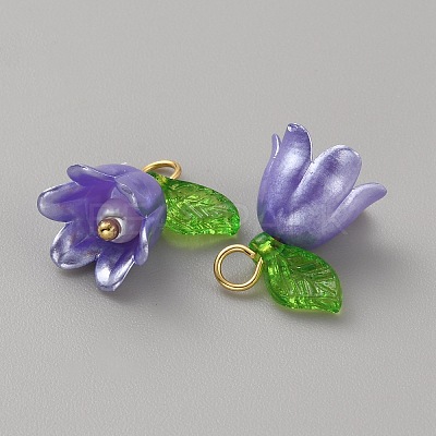 Acrylic Charms KY-TAC0009-03D-1