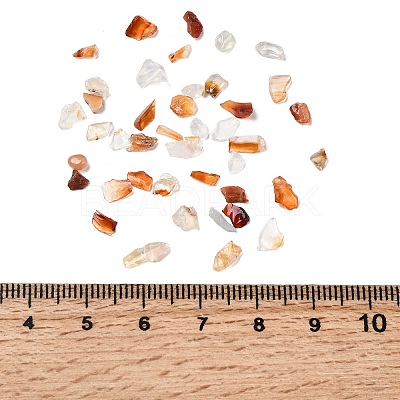 Natural Carnelian Chip Beads X-G-O103-18-1