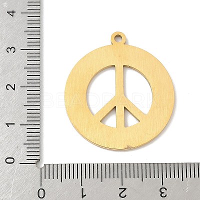 304 Stainless Steel Pendants STAS-F326-07G-1