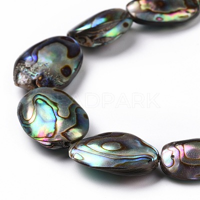 Natural Abalone Shell/Paua Shell Beads SSHEL-E379-1-1