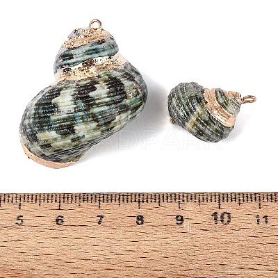 Electroplate Natural Spiral Shell Pendants SSHEL-Q100-55G-1